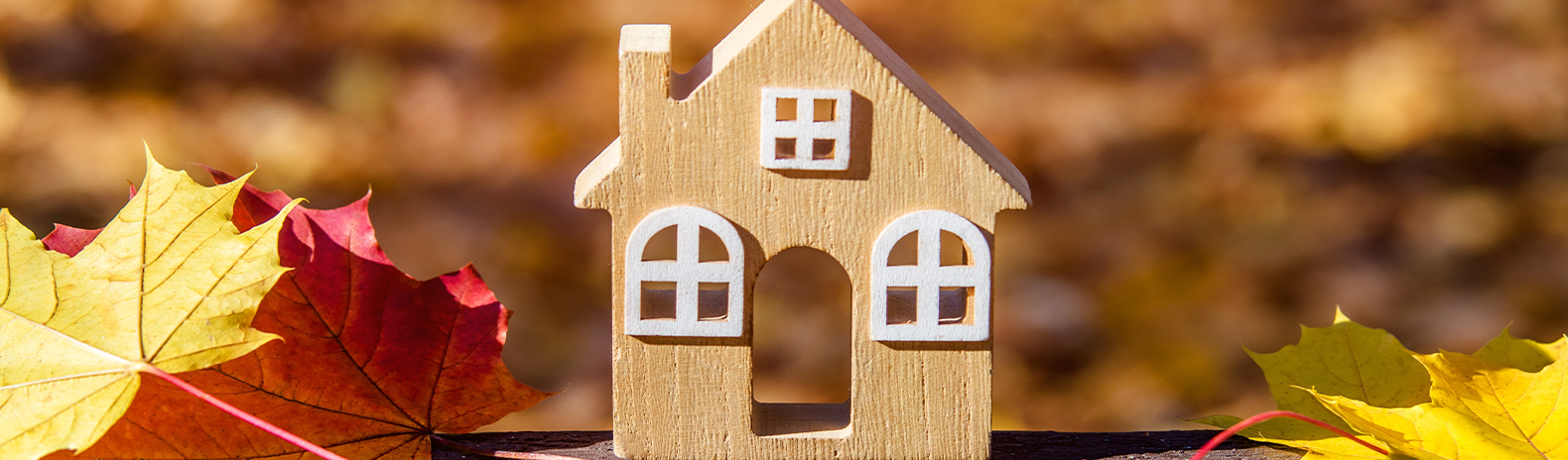 Estate Agents and Letting Agents in Shropshire