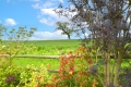 3 Alford Grange, Myddle, Shrewsbury, Shropshire, SY4 3AU